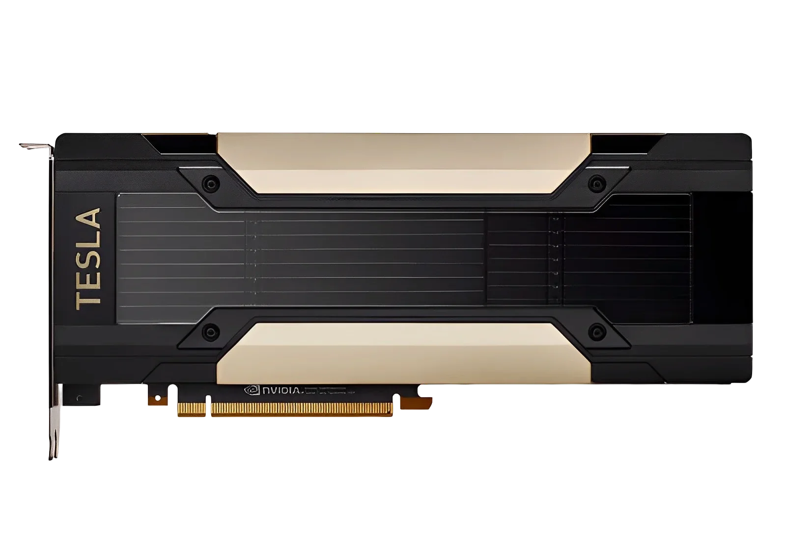 GPU V100/P100/T4/P4/P40/M10/M4 - Ddr5 8Gb recensione e prezzo
